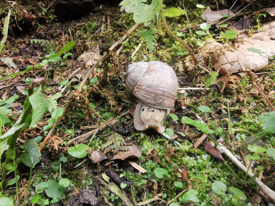 digital artist BennNutzer uncategorized  photo