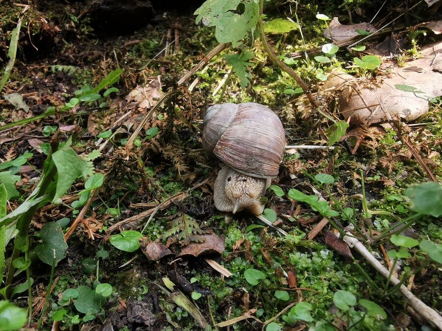 digital artist BennNutzer uncategorized  photo