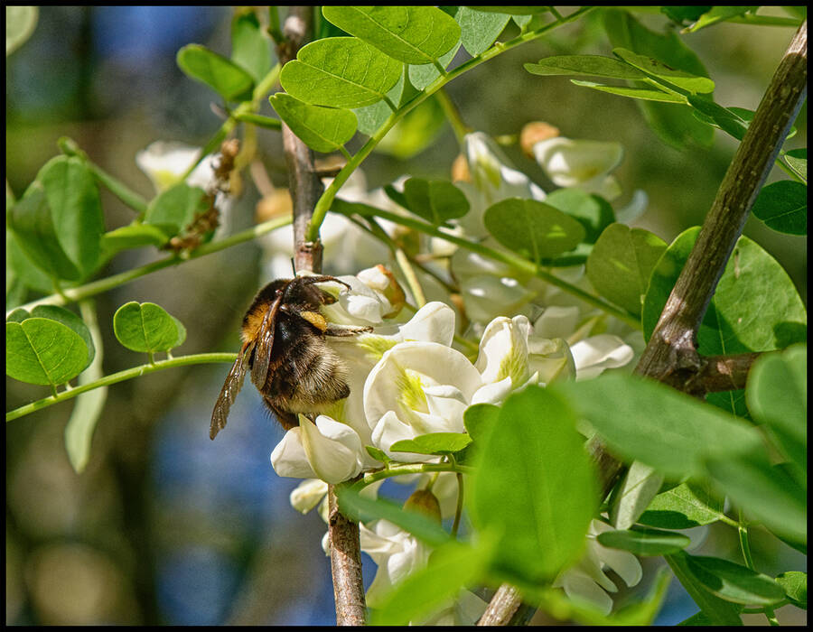 photographer Seano uncategorized  photo taken at France