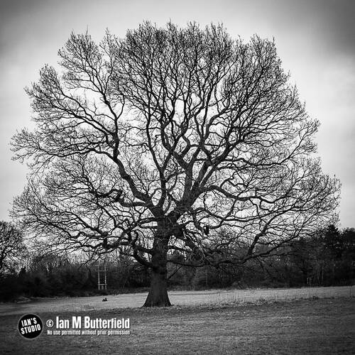 photographer ianbutty landscape  photo