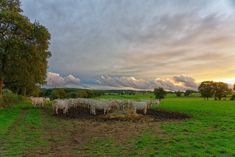 photographer Seano documentary  photo taken at France