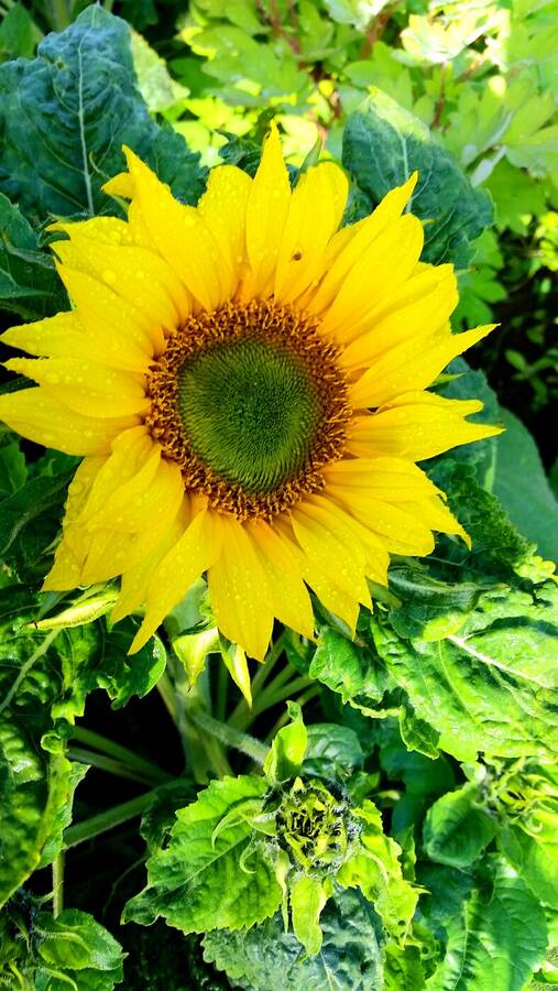 photographer Salt  Box Studios uncategorized  photo