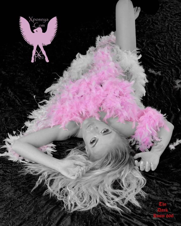 photographer Paulie uncategorized  photo