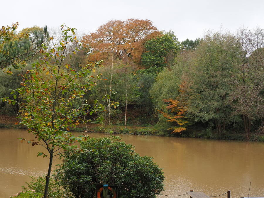 photographer Rosewood  Pix landscape  photo