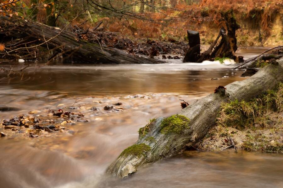 photographer Mark landscape  photo
