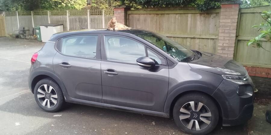 photographer Stav wildlife  photo