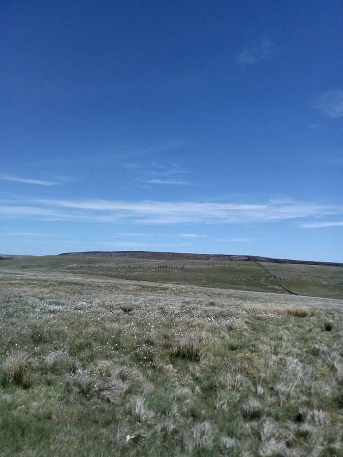 photographer naturelover still life  photo