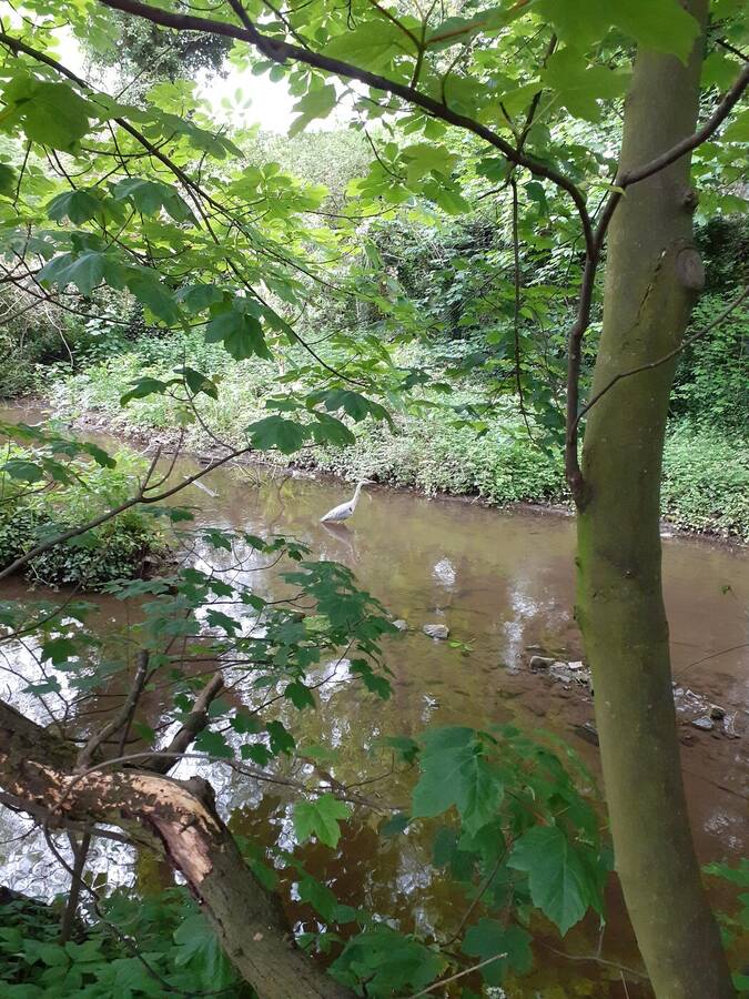 photographer naturelover uncategorized  photo