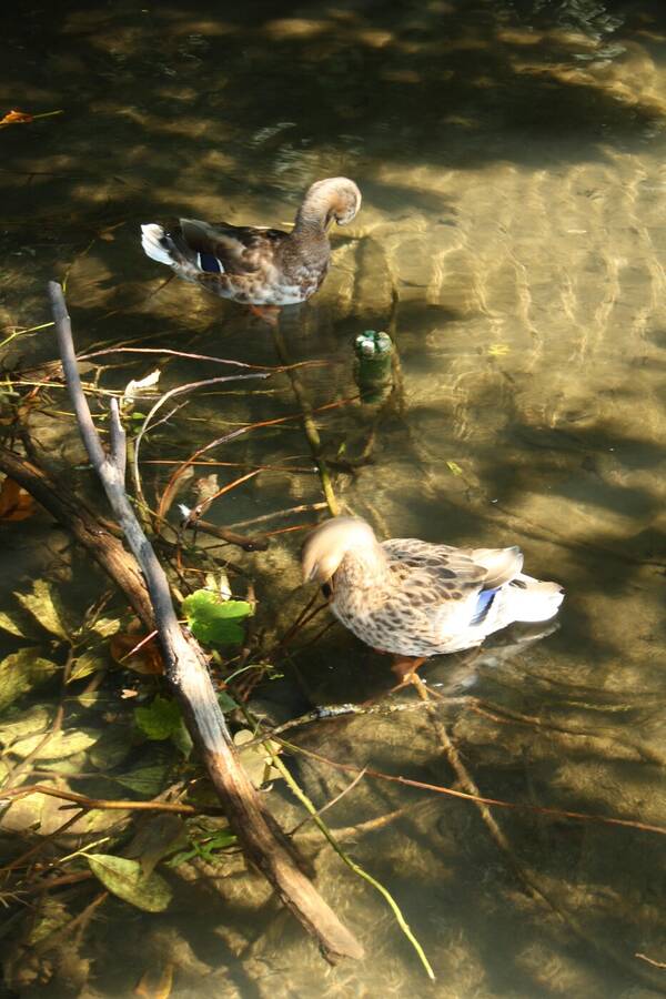 photographer John Renwick wildlife  photo