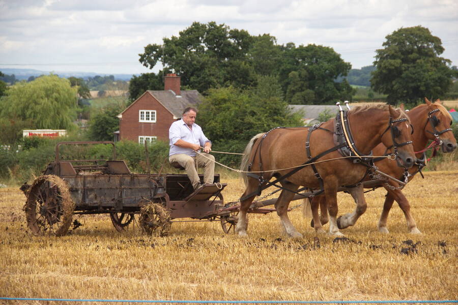 photographer The Photo Taker uncategorized  photo