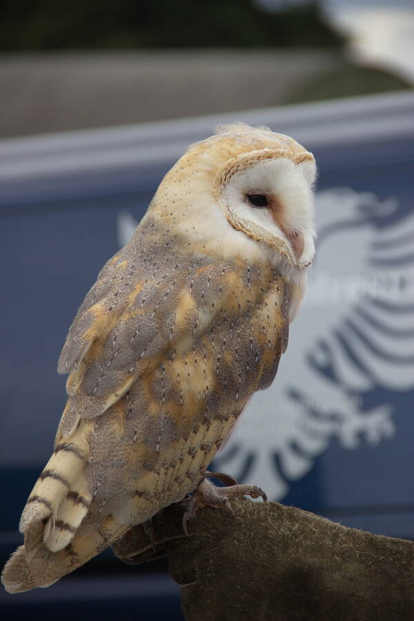 photographer The Photo Taker uncategorized  photo