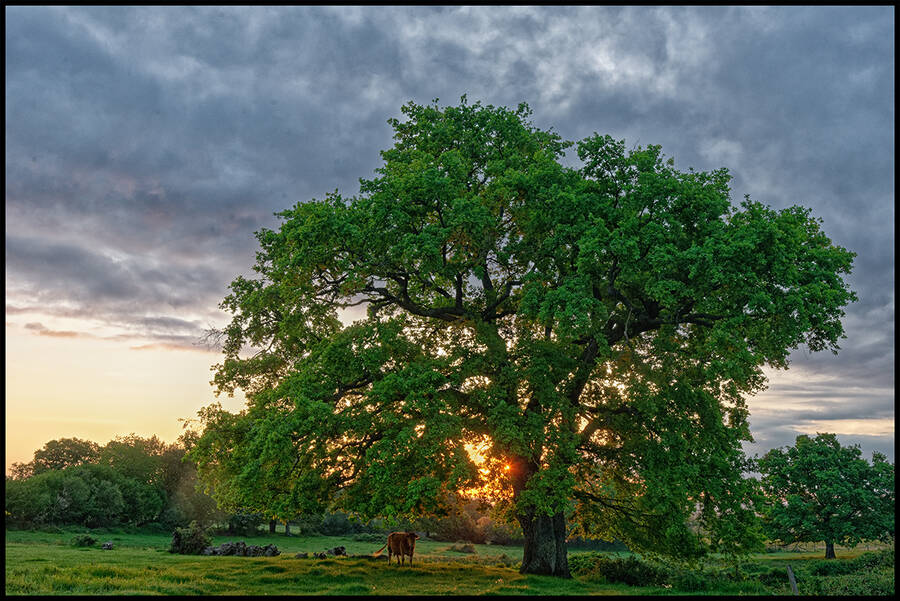 photographer Seano documentary  photo taken at In France