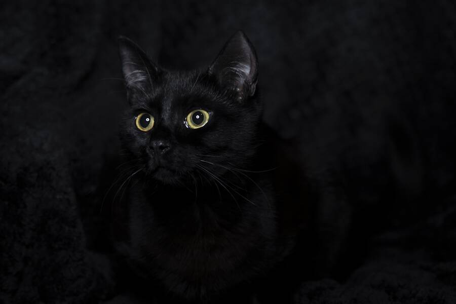 photographer The Opportunist uncategorized modelling photo