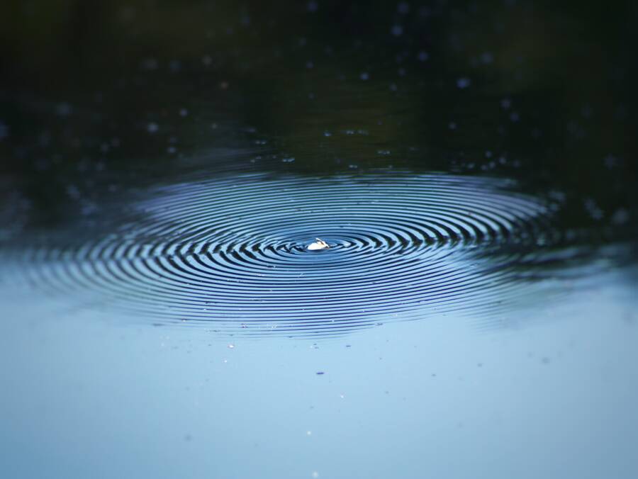 photographer Fuzzysnapper wildlife  photo taken at Glencoe