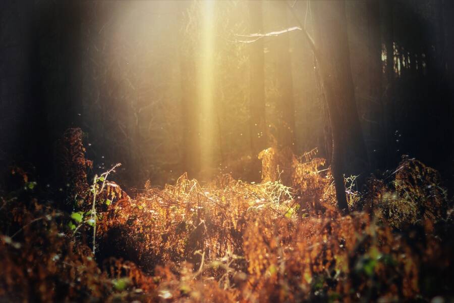 photographer Fuzzysnapper landscape  photo