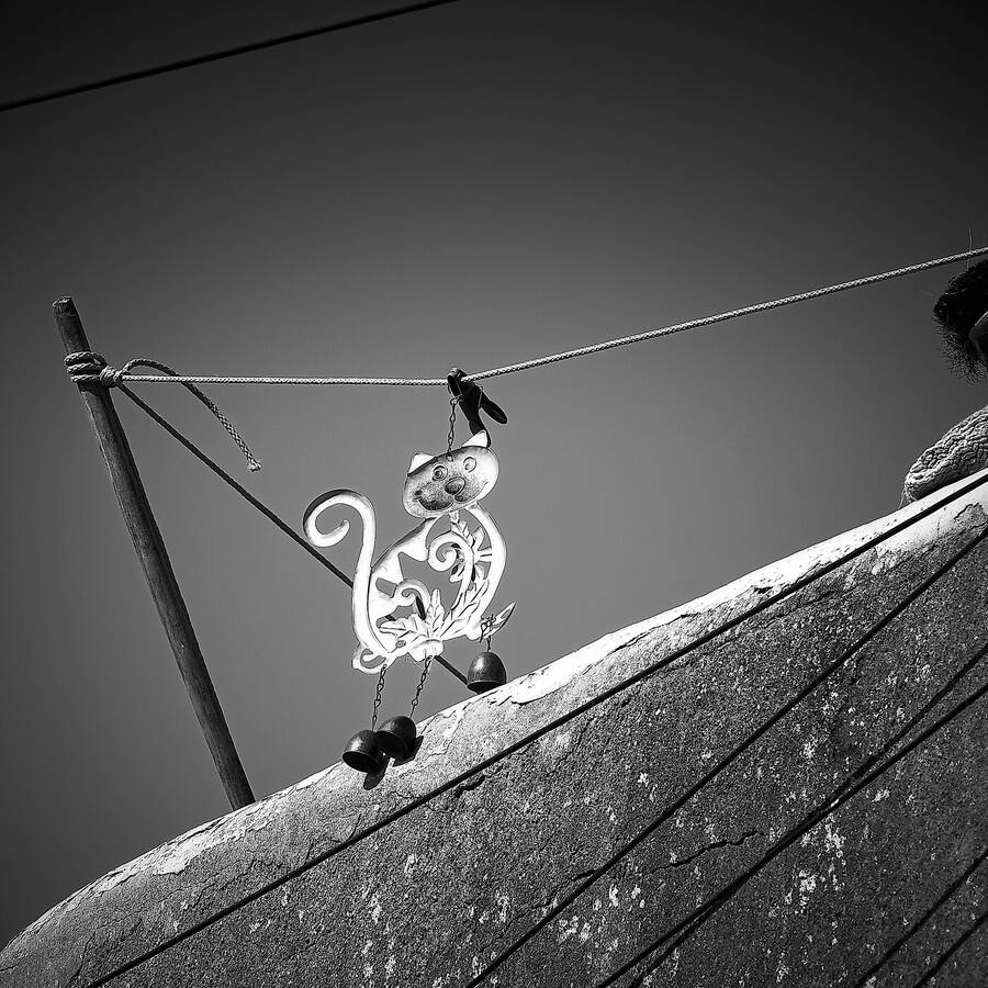 photographer Sirens Cairns architecture  photo