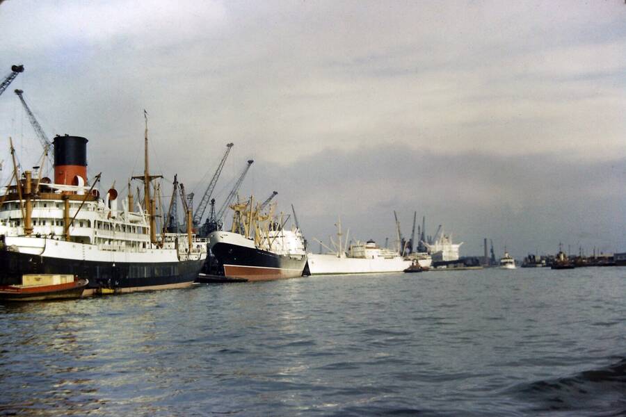 photographer Dave Wells uncategorized  photo