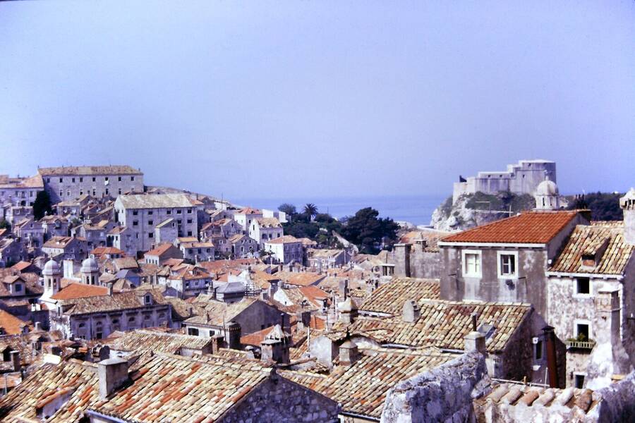 photographer Dave Wells uncategorized  photo