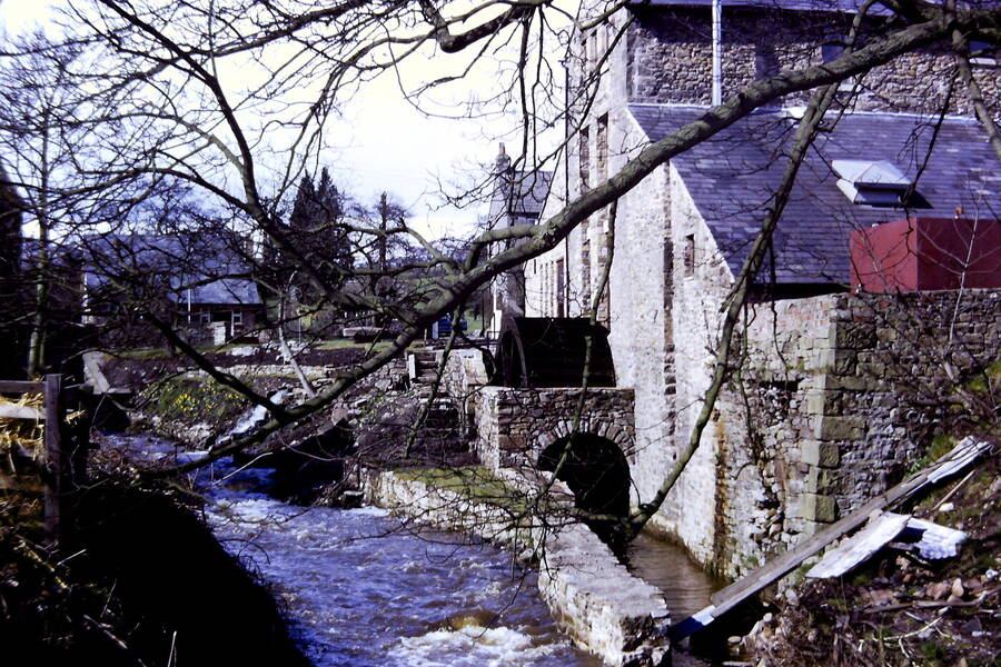 photographer Dave Wells uncategorized  photo