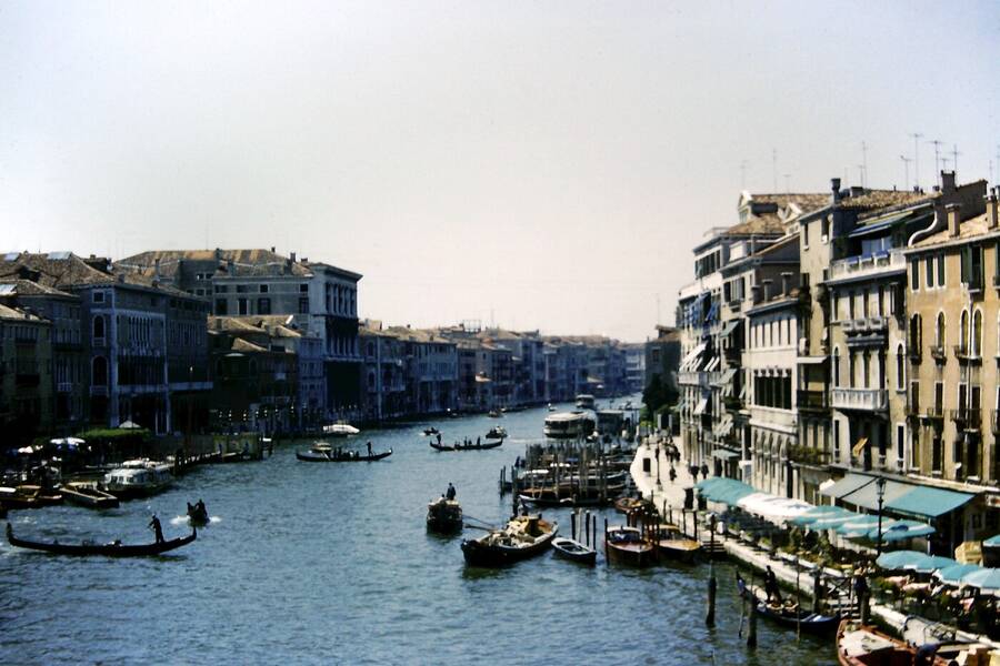 photographer Dave Wells uncategorized  photo