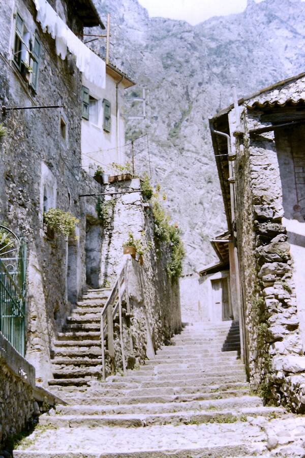 photographer Dave Wells uncategorized  photo