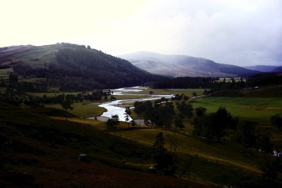 photographer Dave Wells uncategorized  photo