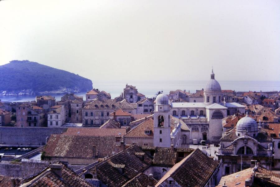 photographer Dave Wells uncategorized  photo