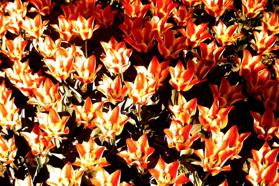 photographer Dave Wells uncategorized  photo