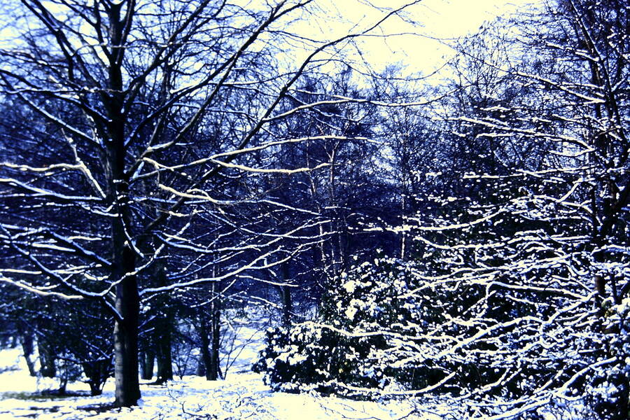 photographer Dave Wells uncategorized  photo