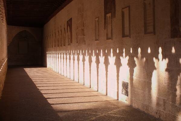 photographer Bitten by the Bug architecture  photo