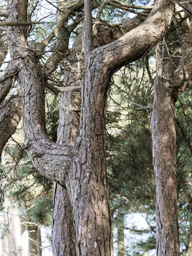 photographer Nomad landscape modelling photo taken at Formby Beach