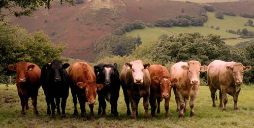 photographer Tunstall Photographic landscape modelling photo