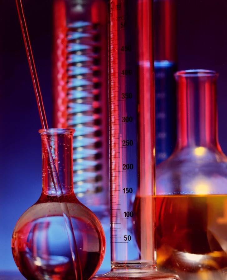 photographer MikeJagger still life  photo