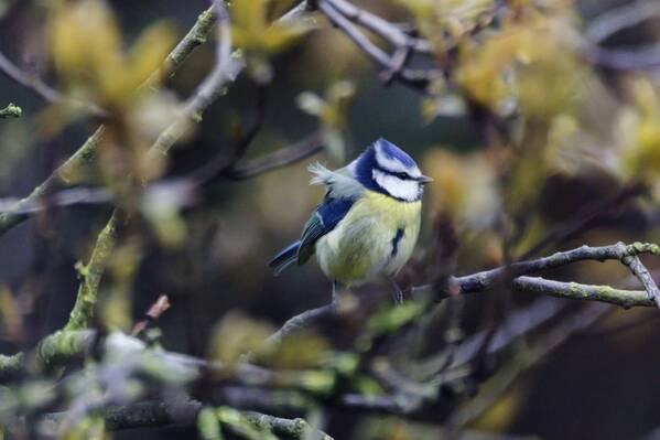 photographer The Opportunist uncategorized modelling photo