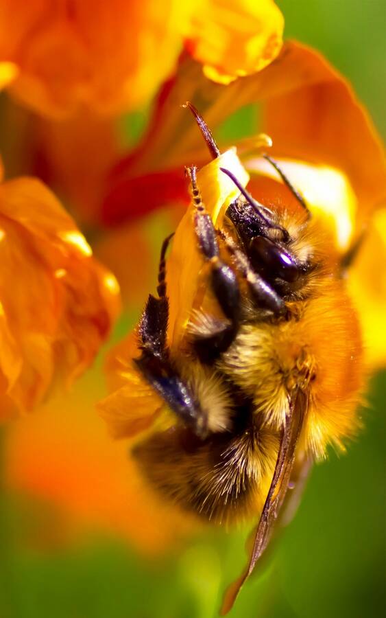 photographer The Opportunist uncategorized modelling photo