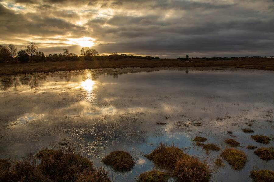 photographer Mark landscape  photo