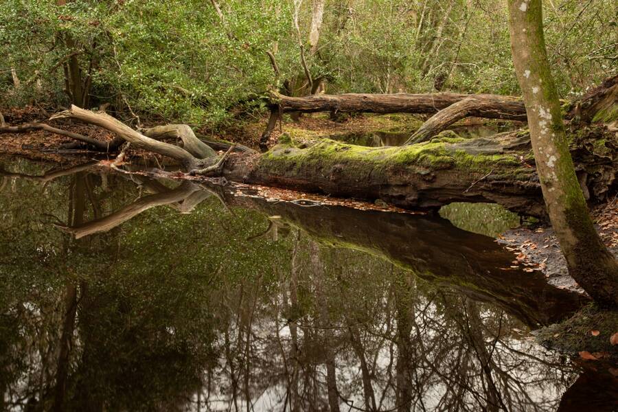 photographer Mark landscape  photo