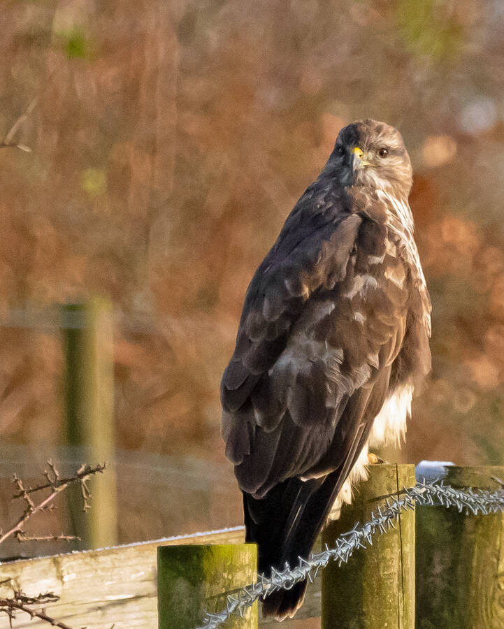 photographer Fotopicto uncategorized  photo