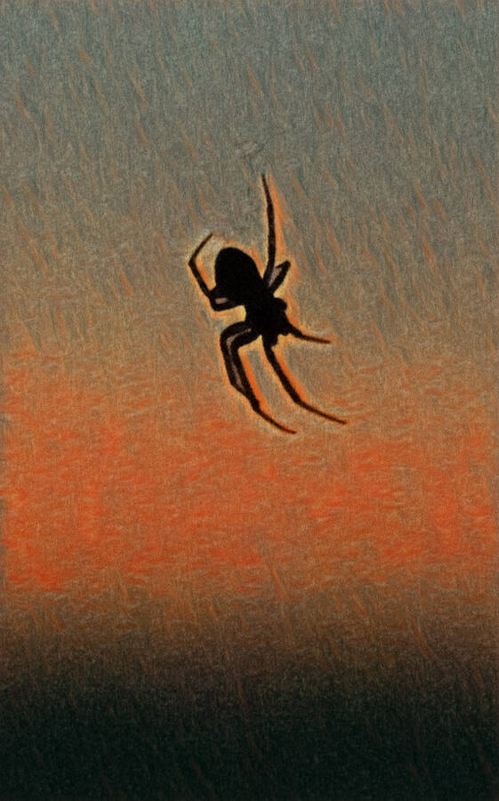 photographer Fotopicto uncategorized  photo