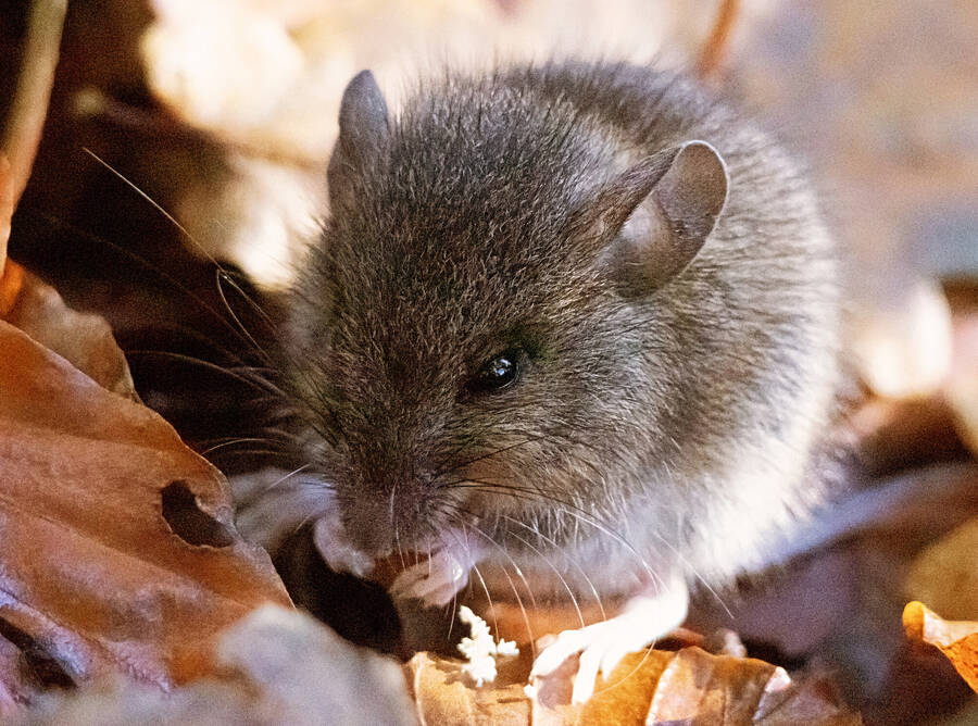 photographer Fotopicto uncategorized  photo