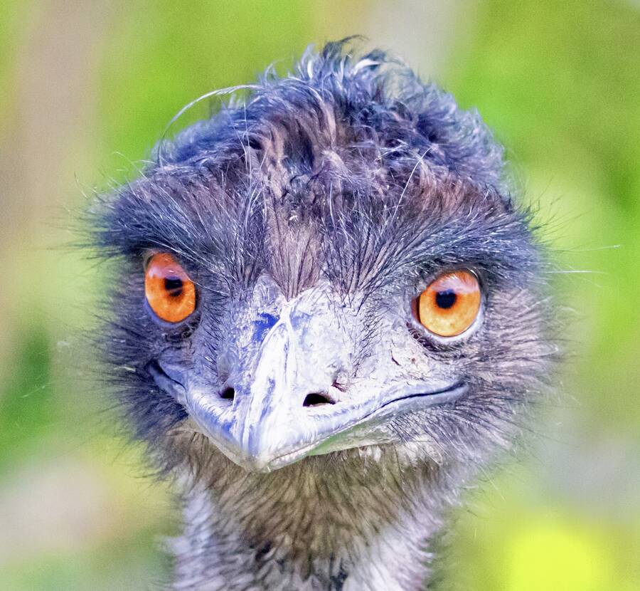 photographer Fotopicto uncategorized  photo