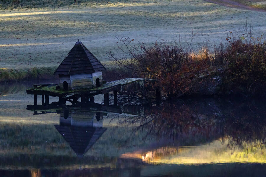 photographer Fotopicto uncategorized  photo