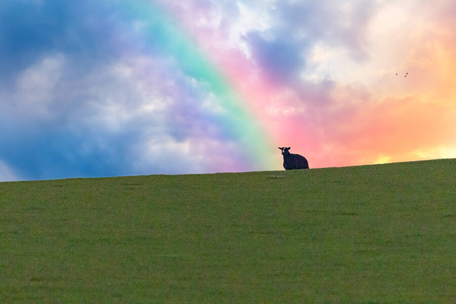 photographer Fotopicto uncategorized  photo