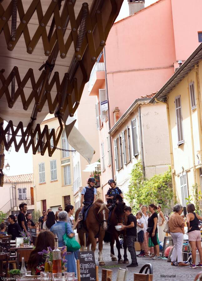 photographer Stav performance  photo