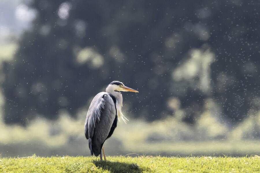 photographer The Opportunist uncategorized modelling photo