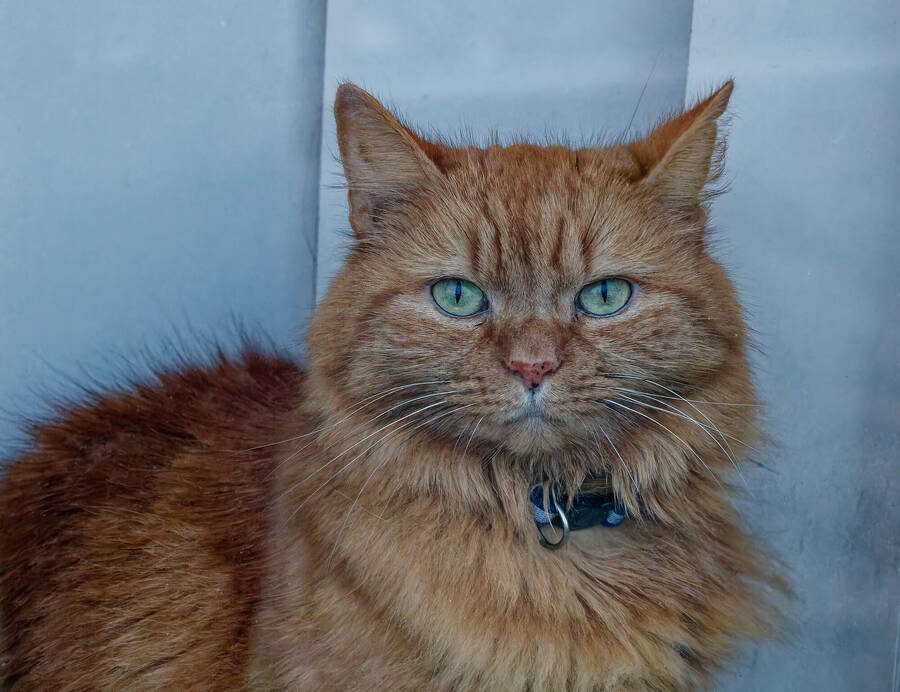 photographer dntphotographs portraiture  photo taken at North Yorkshire