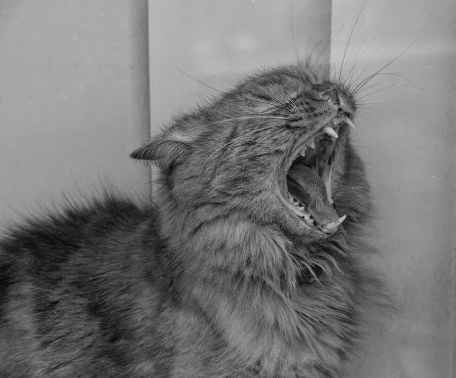 photographer dntphotographs portraiture  photo taken at North Yorkshire