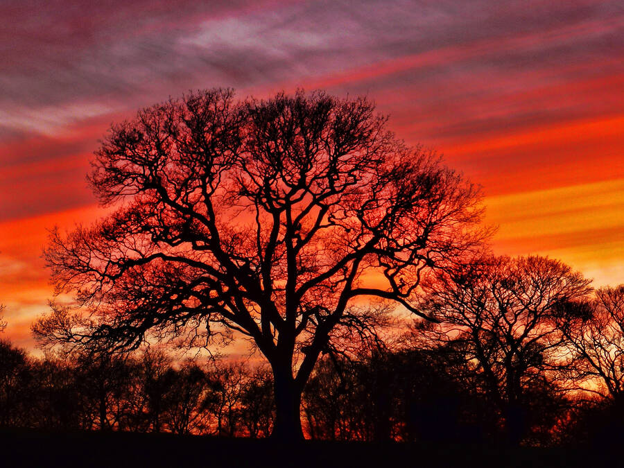 photographer WPNPHOTOIMAGES landscape  photo taken at Cheshire