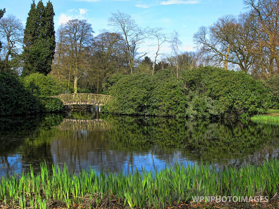 photographer WPNPHOTOIMAGES uncategorized  photo