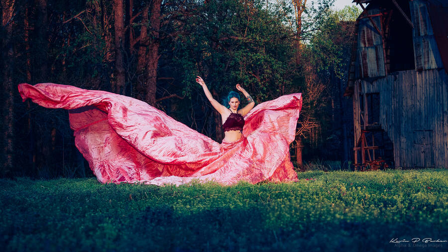 photographer aoimages uncategorized  photo